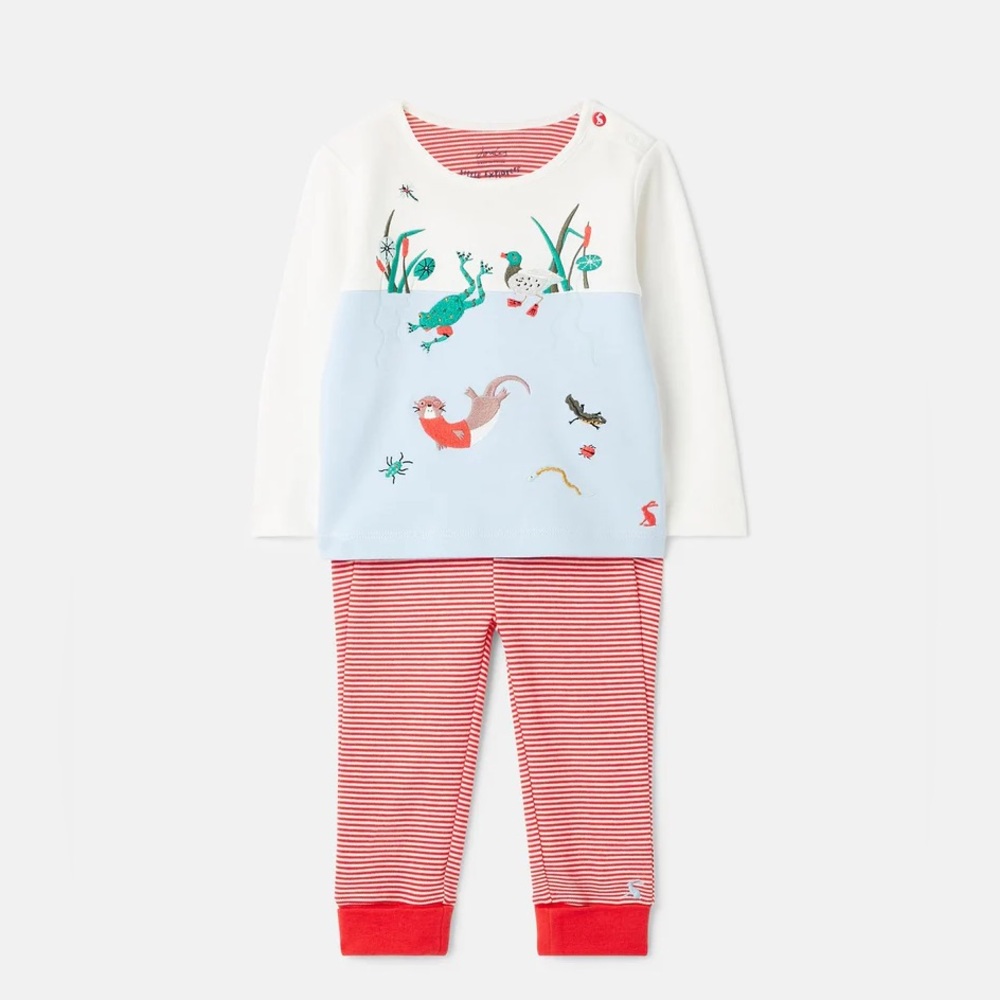 SOLD Baby Joules Long Sleeve Shirt and Leggings Outfit